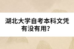湖北大學自考本科文憑有沒有用？