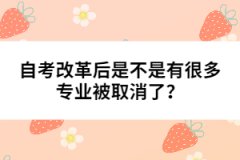 自考改革后是不是有很多專業(yè)被取消了？