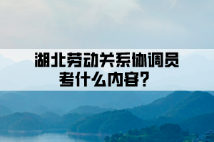 湖北勞動關(guān)系協(xié)調(diào)員考什么內(nèi)容？