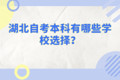 湖北自考本科有哪些學(xué)校選擇？